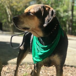 Meet your Posher, Anita